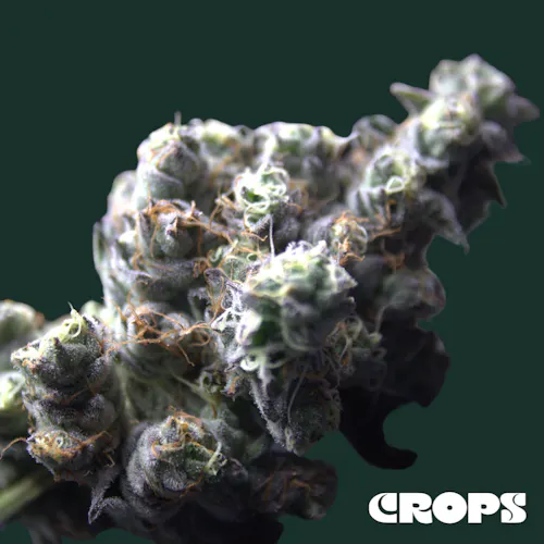 Crops | Soap | Flower | 3.5g-1