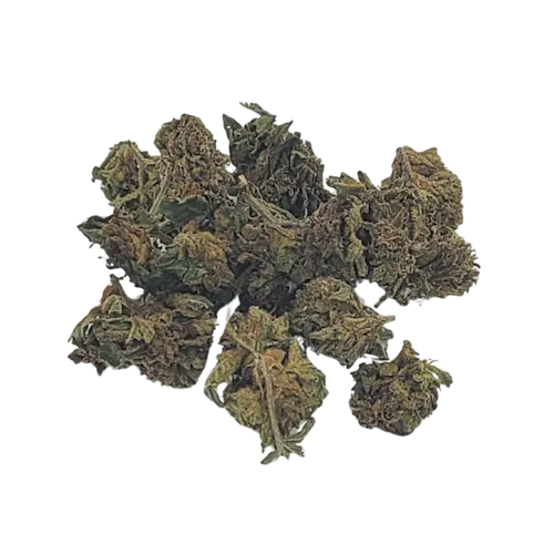 Blueberry Muffin 28g Prepack-1