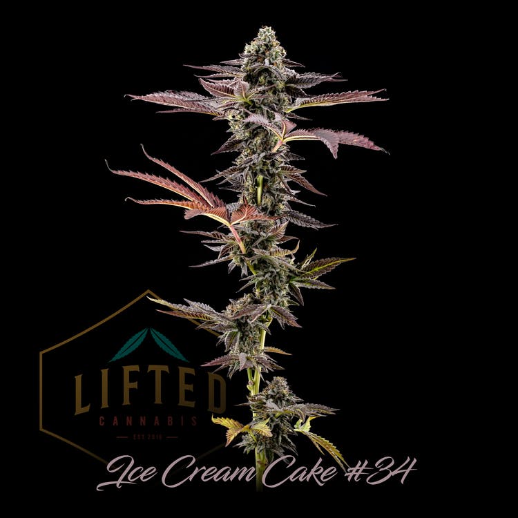 Lifted: Ice Cream Cake