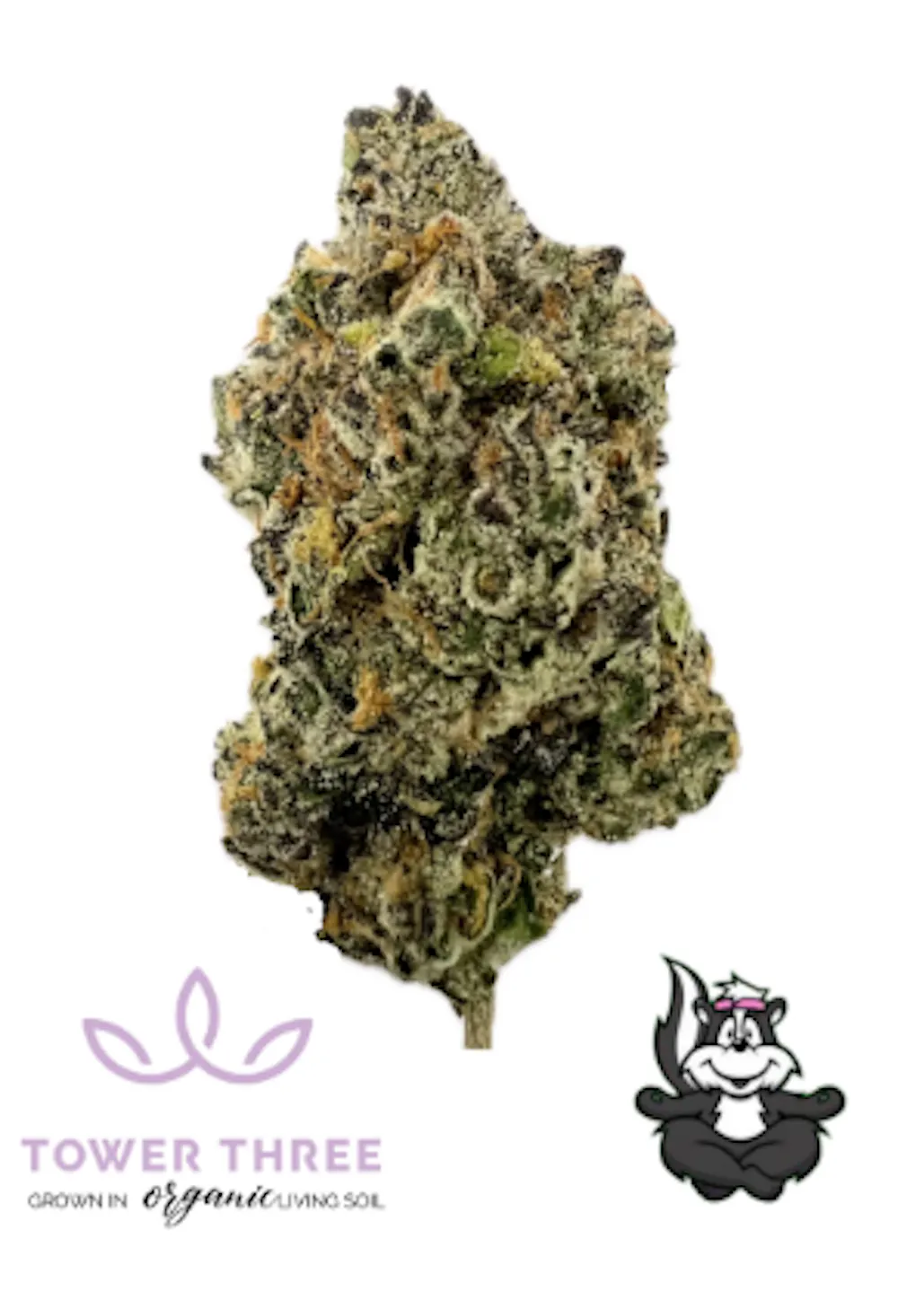 Tower Three Raspberry Mango TK Buds | Malden, MA | Misty Mountain Shop