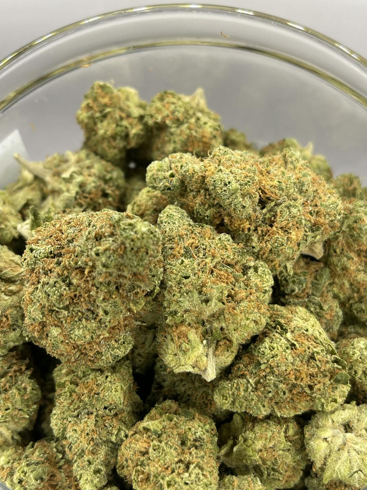 Photo of Platinum Shelf – Royal Skunk (H)