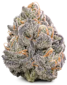 Flower category image