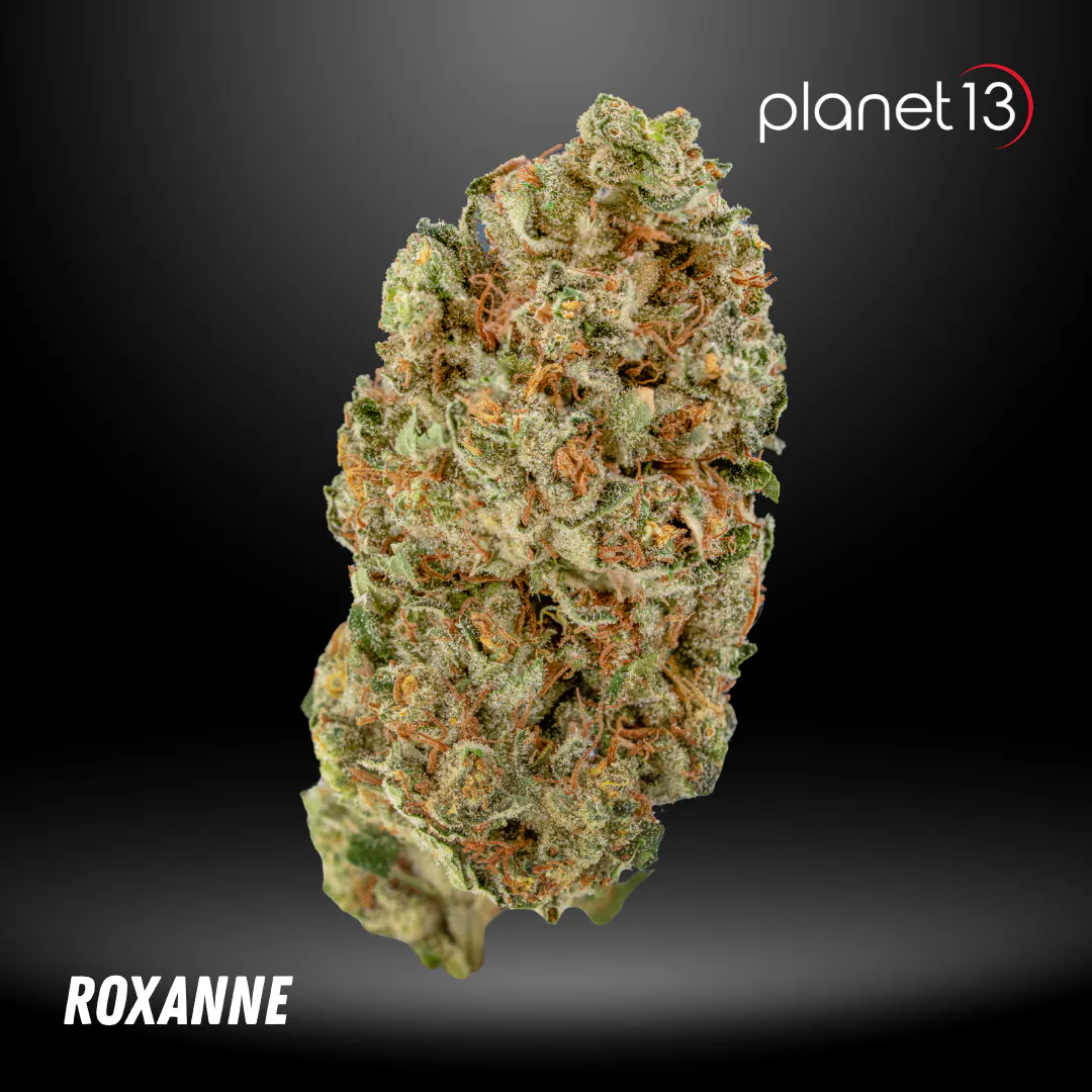 Cannabis Flower | Planet 13 Pensacola