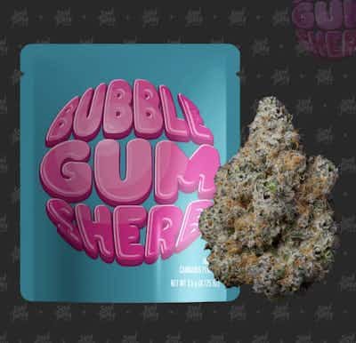 Product: SEED JUNKY | BUBBLE GUM SHERB | PRE-PACK HYBRID