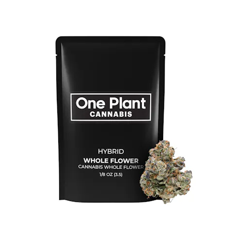 Lemon Cherry Gelato