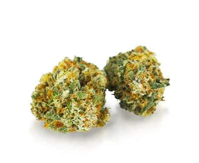 Product: Untrimmed Ounce | Cherry Cookies (Untrimmed Flower) | 28g