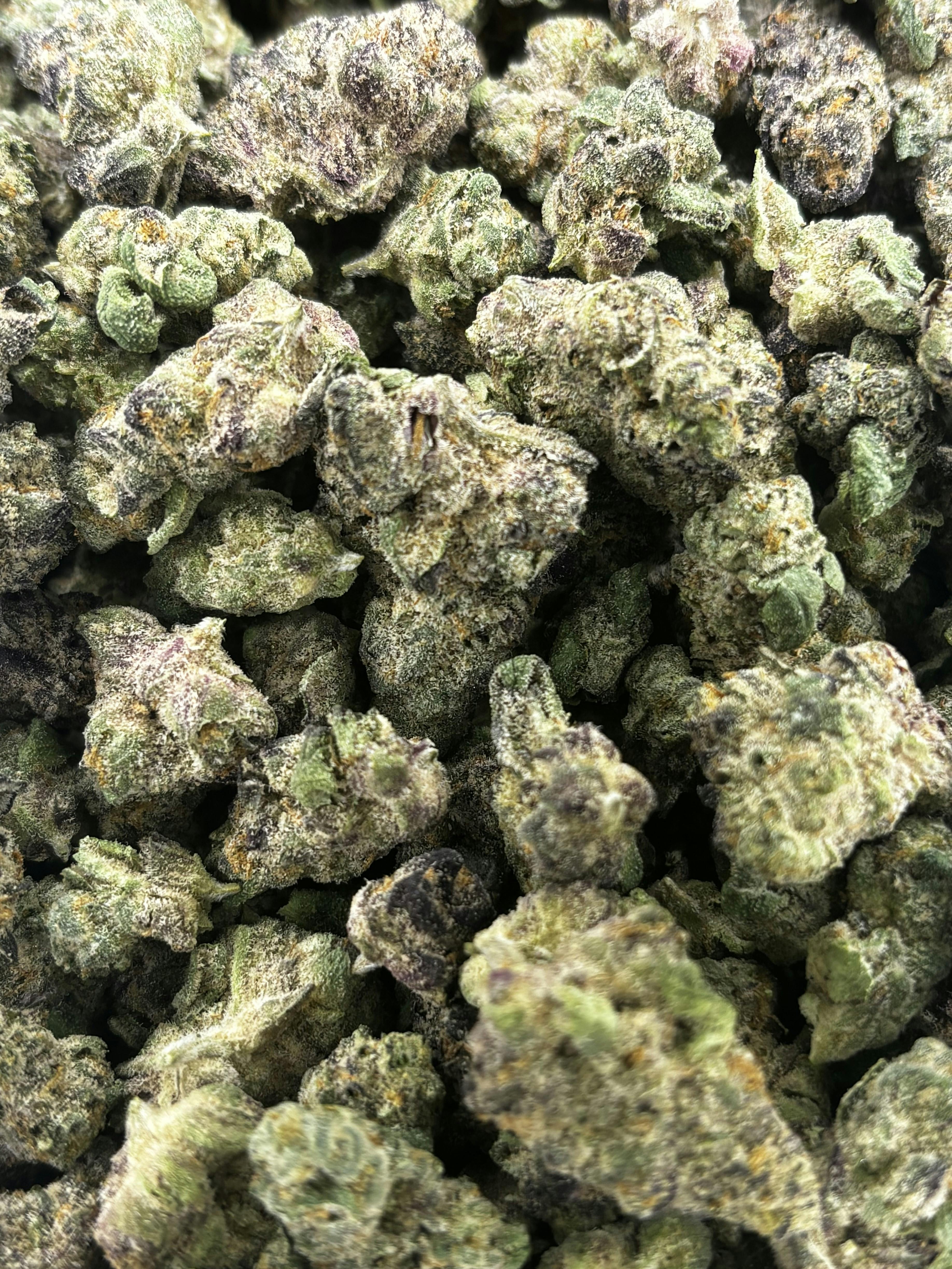 Gelato Candy | Deli Flower (Platinum)