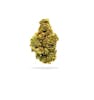 50% OFF | WOJO Co. Flower Eighths