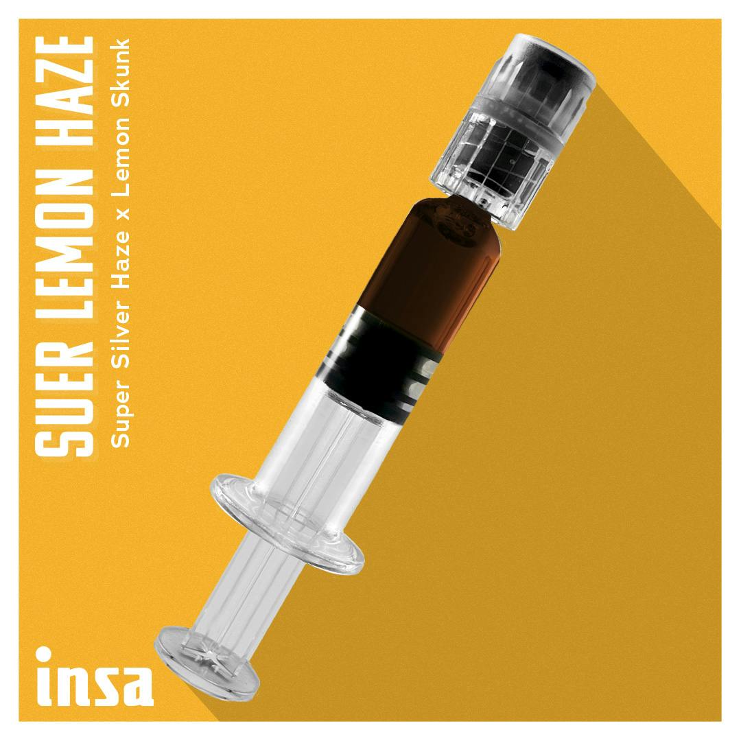 Insa Inc. The Villages SE 179th Pl