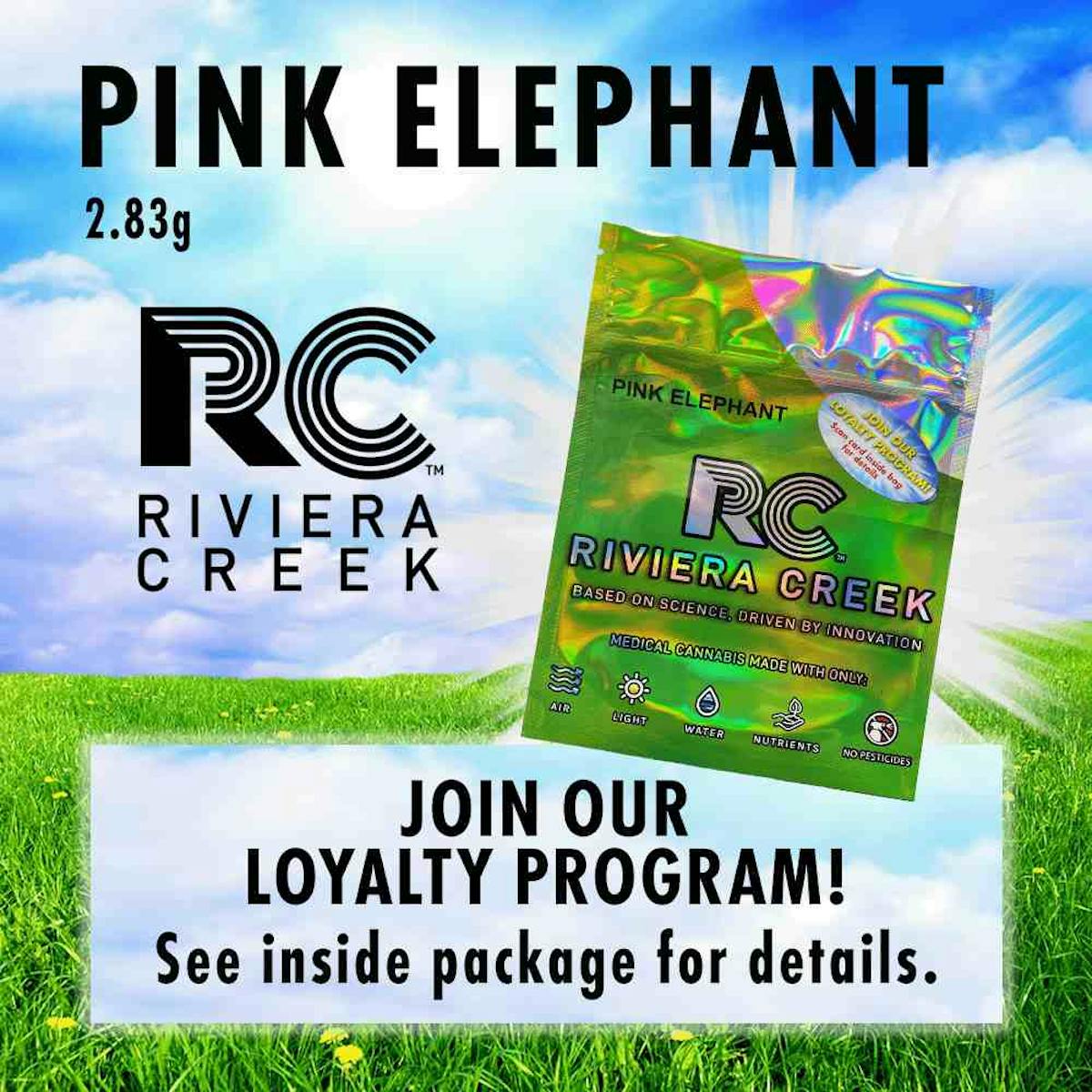 Photo of Pink Elephant