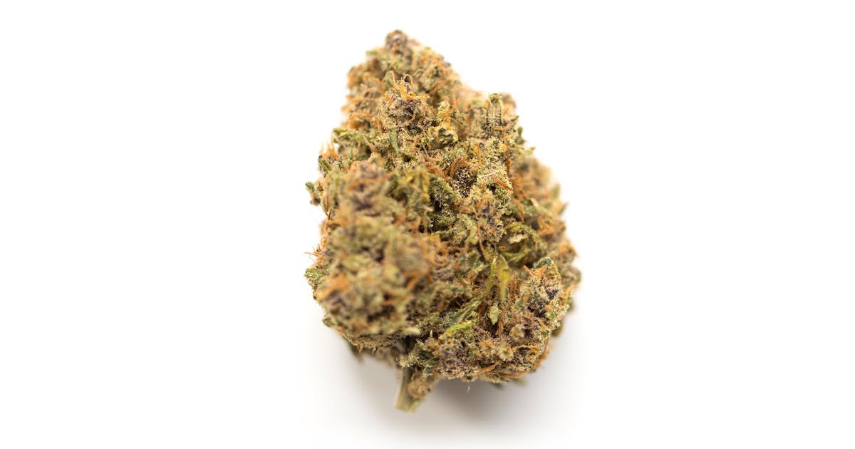 GATSBY CANNABIS CO. | FOG DOG INDICA-HYBRID