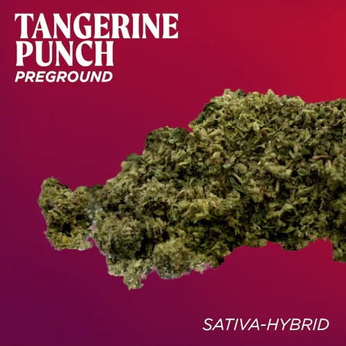 Deli Style |  Tangerine Punch Pre-Ground | Sungrown – Sativa – Hybrid-active