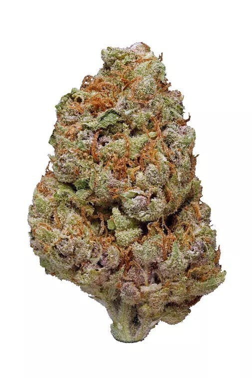 GATSBY CANNABIS CO. GATSBY CANNABIS CO. | SPACE CANDY HYBRID — FLOWER