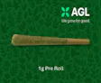 AGL Fantasy Melonz