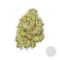 Product The Fresh Connection - Gas Leak Flower (3.5g)