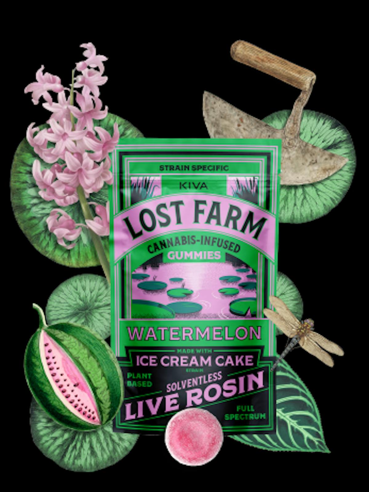 Photo of Lost Farm Ice Cream Cake Watermelon Live Hash Rosin Gummies