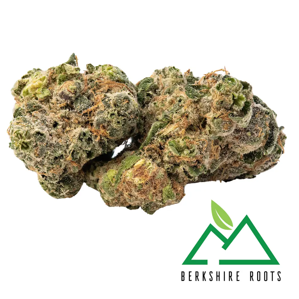 Product Ice Cream Kush (H) | Flower | 28g