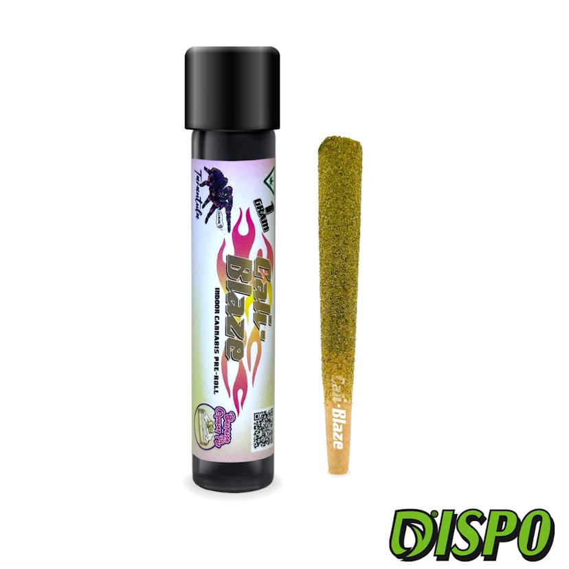Cali Blaze - Banana Cream Pie Infused Tarantula
