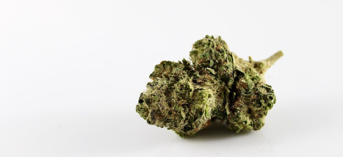 Image of Apex R1 | 1g Smalls