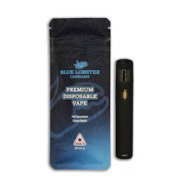 Vaporizers category image