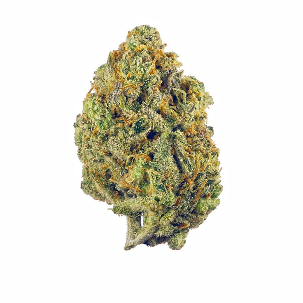 Dealer - Super Lemon Haze at Silk Road NYC, Jamaica Queens