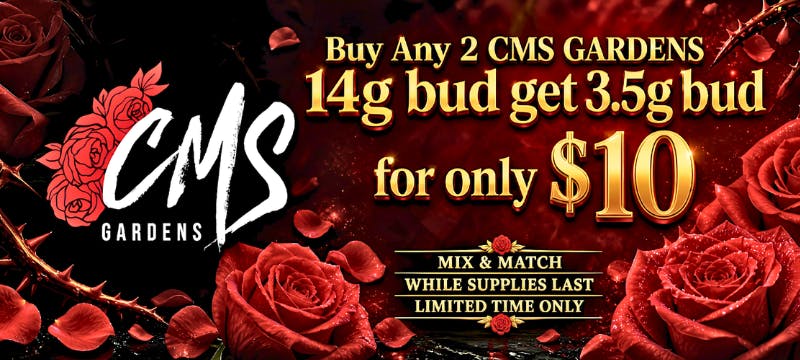 cannabis disposable vape washington dc Where to Buy THC Vapes near Washington DC