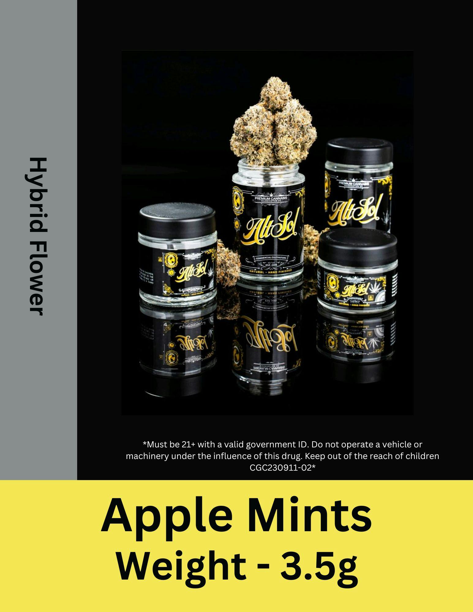 Apple Mintz