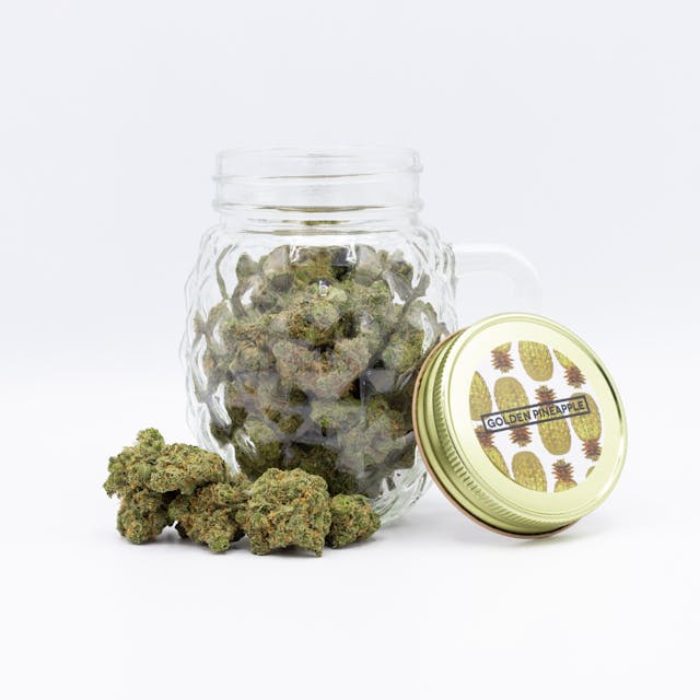 Golden Goat x Pineapple Kush - (Flavors: Citrus, Sweet & Gassy), (Effects: Motivation, Calming & Hungry), (Aromas: Sour, Earthy & Sweet)
