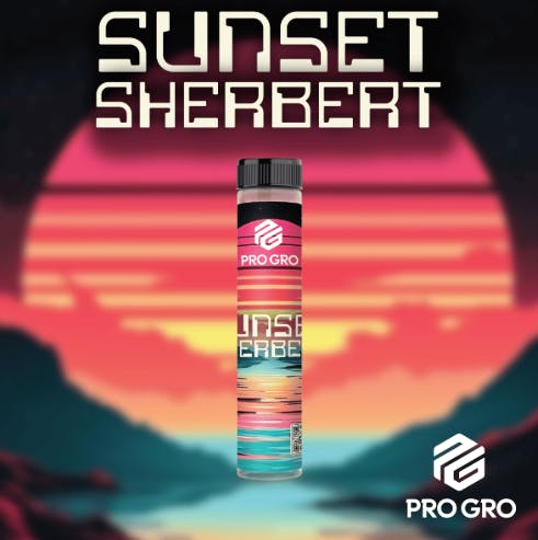 Pro Gro - Sunset Sherbert - 1g Preroll