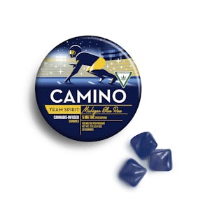 Product: Camino | Michigan Blue Raz Hybrid Gummies | 100mg*