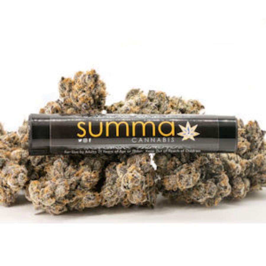 Chubbies - Preroll 3pk - Jealousy 58 (H) (1.5g)