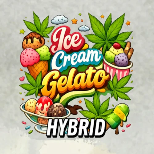 Detroit Dope - 1.2g Infused Preroll - Ice Cream Gelato