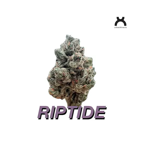 Riptide | Flower | 3.5g-active