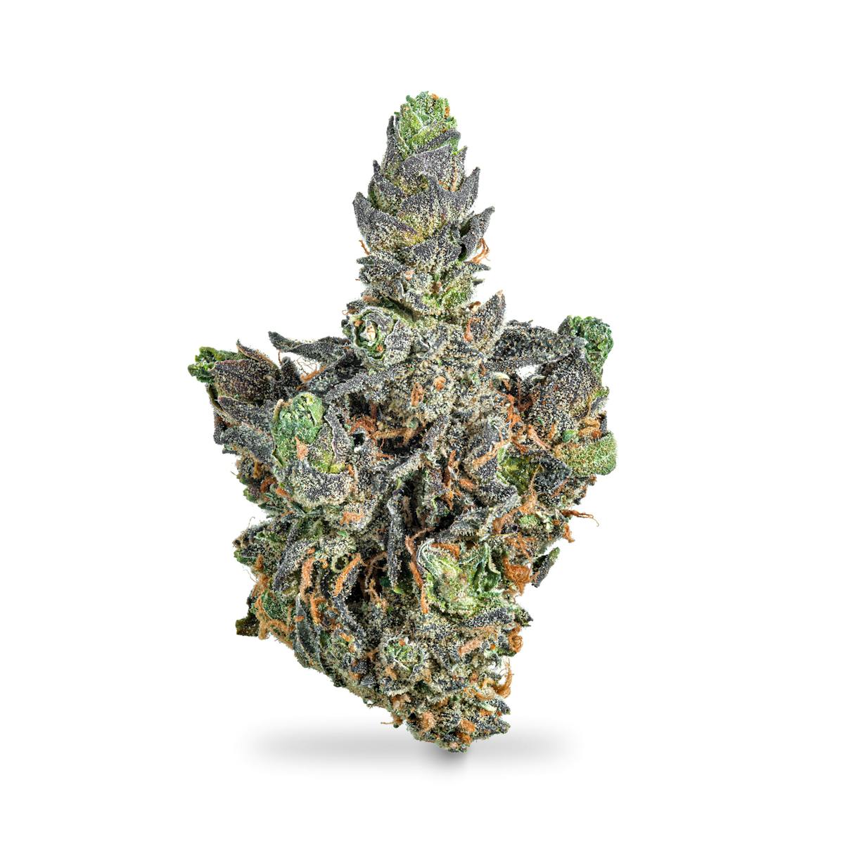 Photo of Tiger Mintz Pre-Pack