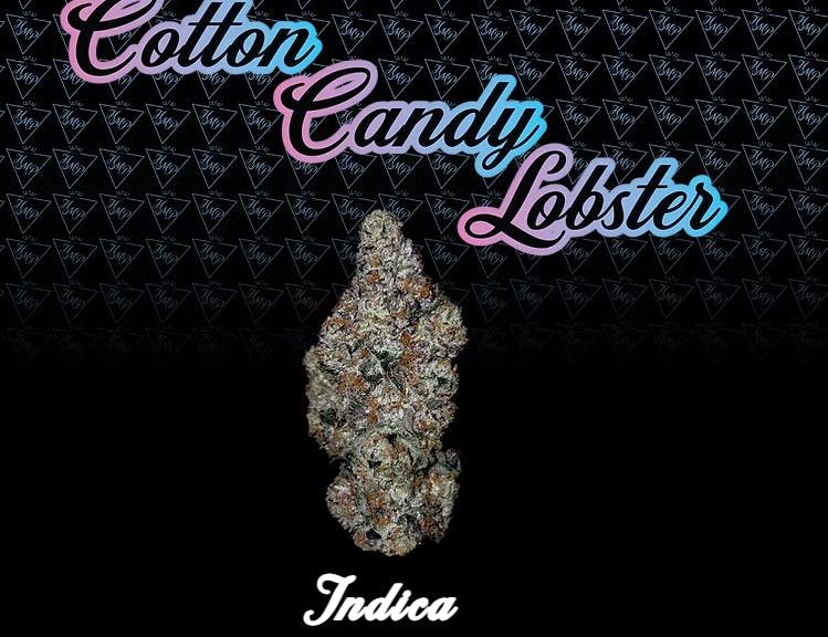 Product Cotton Candy Lobster Buds