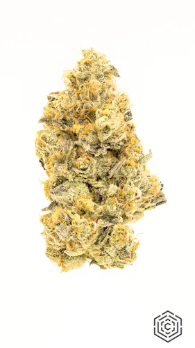 Sugar Biscuits 9 3.5g – Culta (Pre-Pack)-active