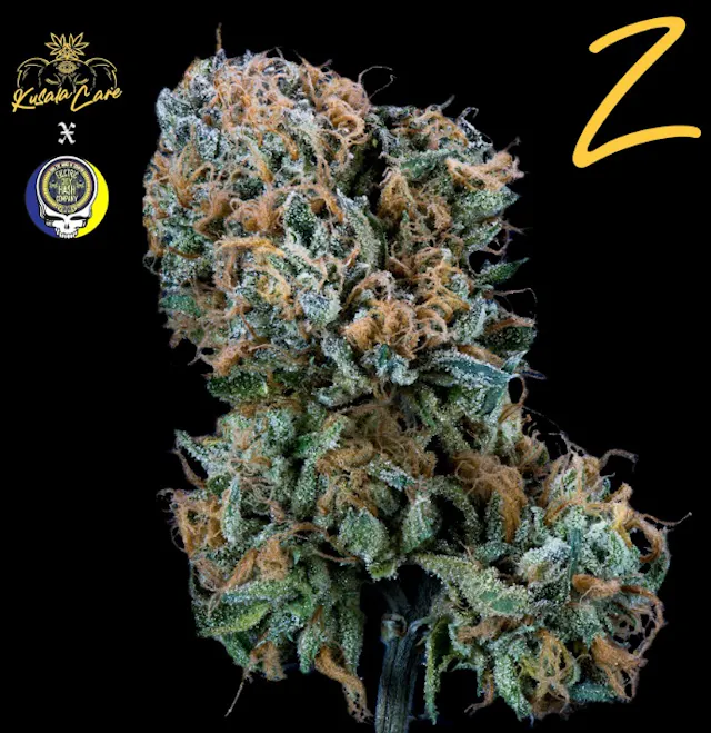 Electric City Hash Co x Kusala Care Flower Z 3.5g (hybrid, whole flower)