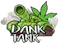 dispensary logo