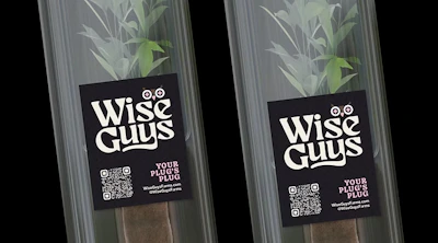 Wise Guys Farms - Single Clone - Bling Blaow