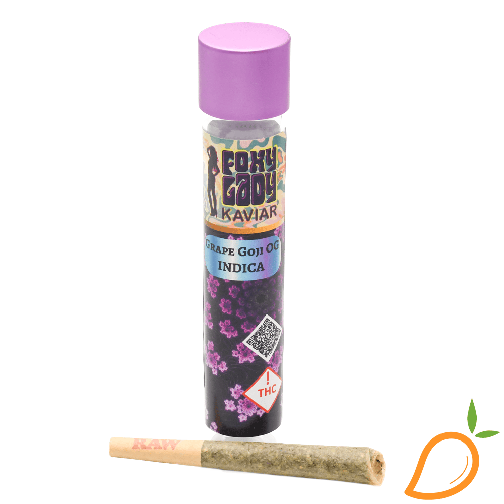 1g Watermelon Zlushie Infused Preroll Foxy Lady | Mango Cannabis