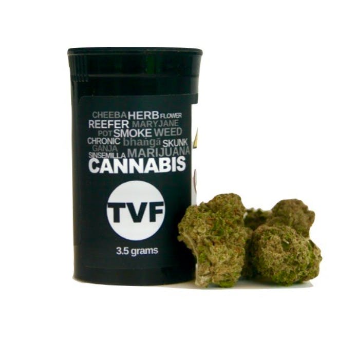 TVF Whole Flower | 3.5g | Stank Breath