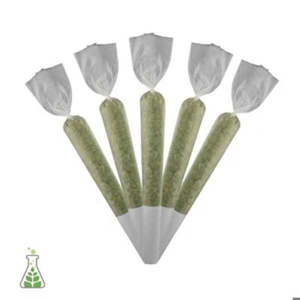 Ginger Tea (S) - 0.5g 5pk Pre Rolls - Sanctuary Medicinals