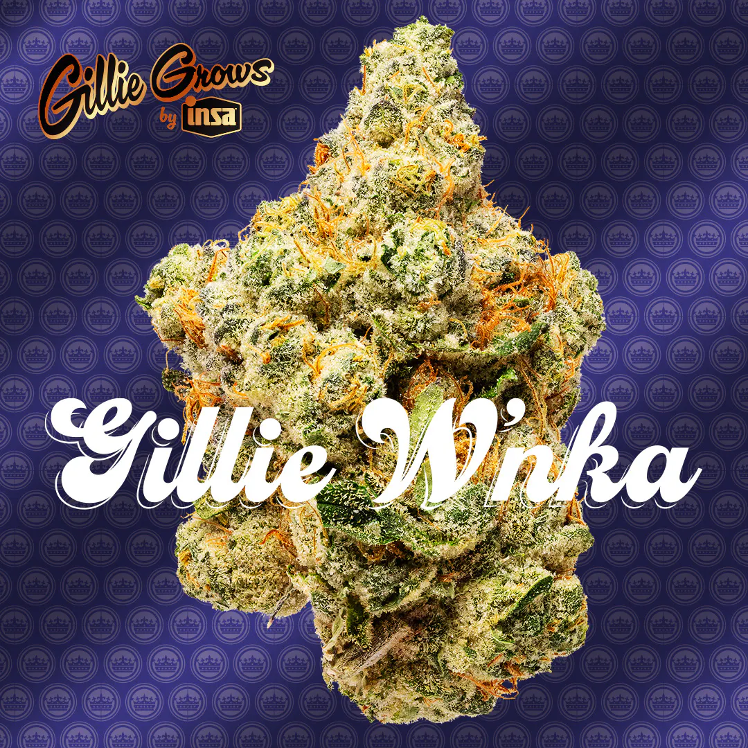 Cannabis Dispensary in Springfield, MA | Open Daily