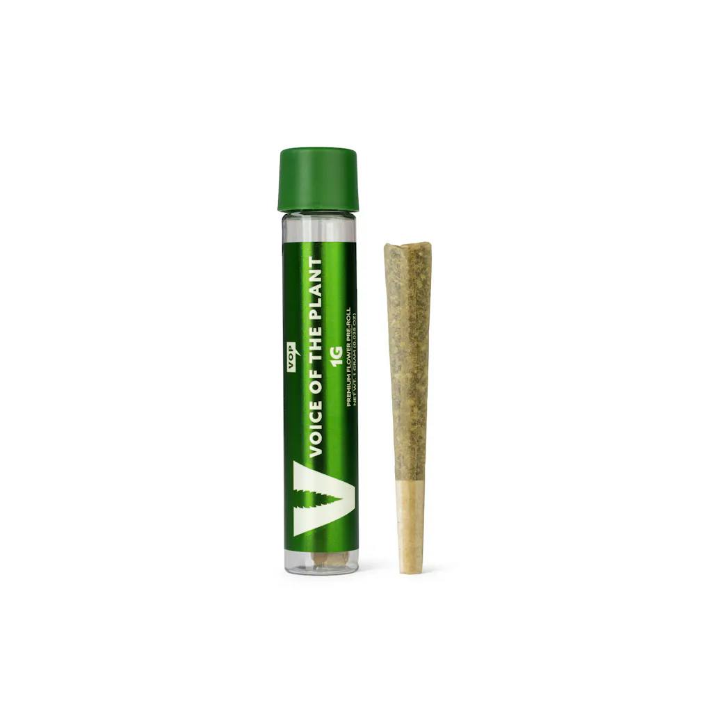 VOP | Gelato 33 | Preroll
