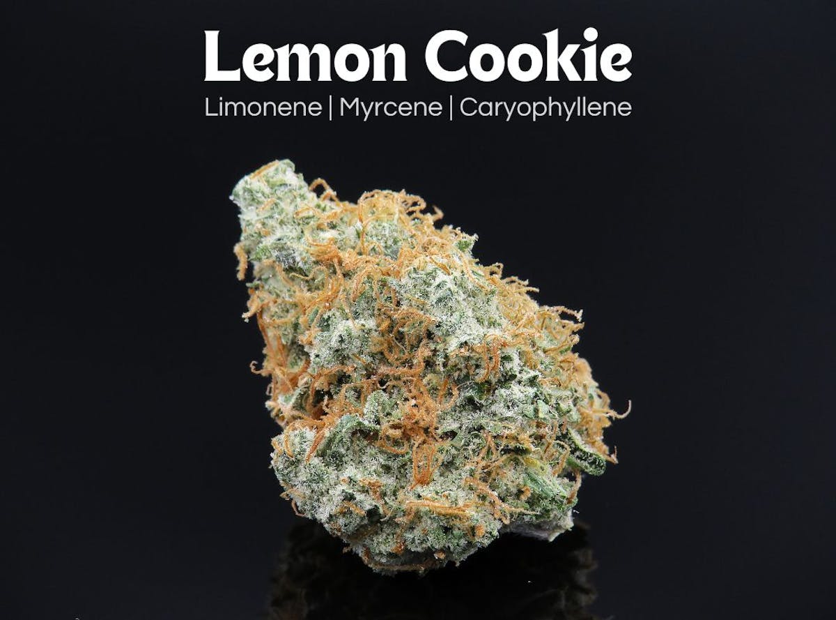 Photo of Lemon Cookie