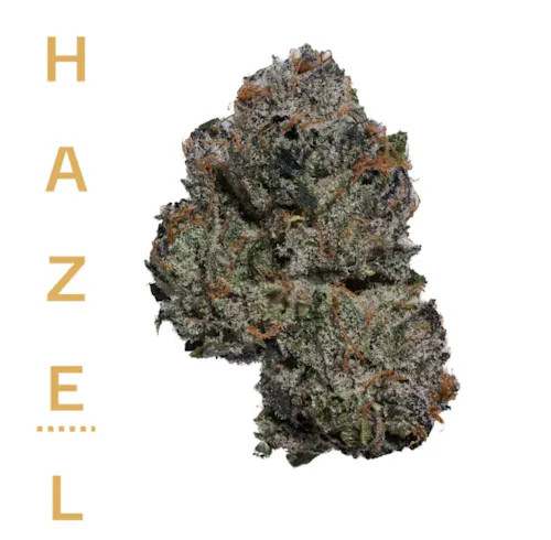 Blue Zushi (I) – – Hazel-1