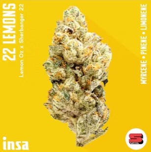 22 Lemons