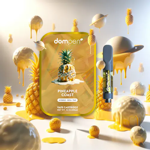 Pineapple Coast Cartridge (1g)-active