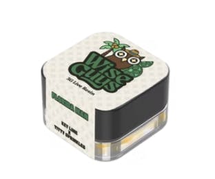Product: WISE GUYS | FLORIDA MAN | LIVE RESIN HYBRID