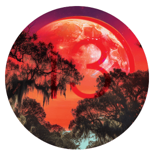 Planet 13 Neighborhood Dispensary Tallahassee storefront or retail location in Tallahassee, FL